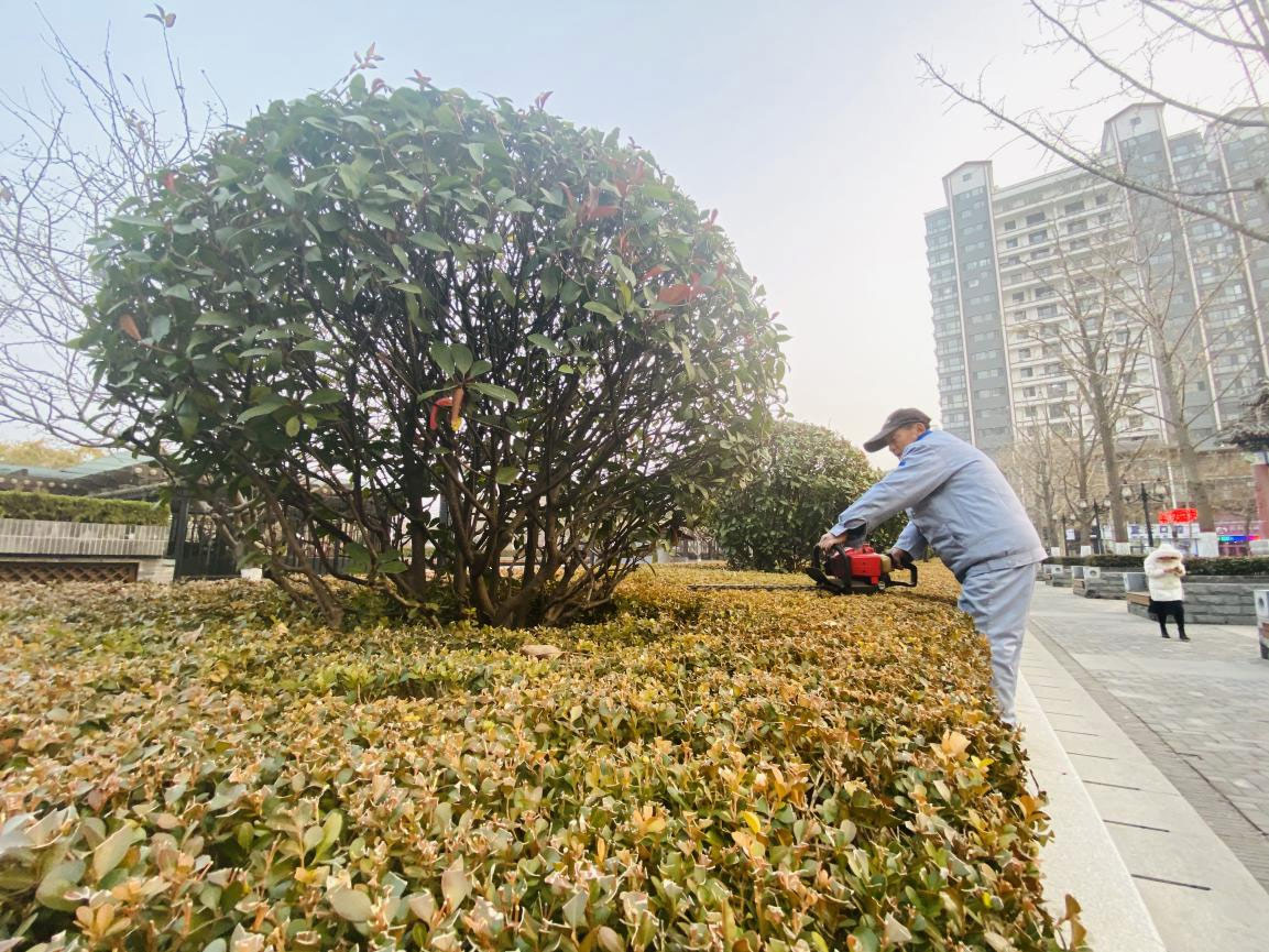 新发物业|“除草行动”—营造幽雅环境